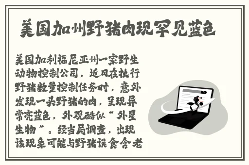 草草永久发布页**