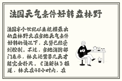 草莓视频在线观看无限看版